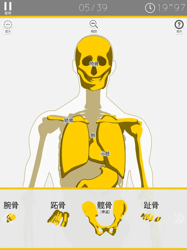 解剖拼‪图‬宣传图2